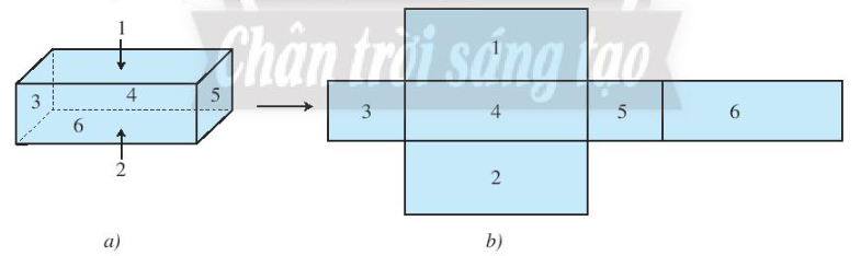 Lý thuyết Hình hộp chữ nhật. Hình lập phương (Lý thuyết + Bài tập toán lớp 7) – Chân trời sáng tạo (ảnh 1)