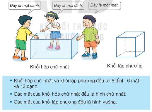 Lý thuyết Khối lập phương, khối hộp chữ nhật (Kết nối tri thức 2022) hay, chi tiết | Toán lớp 3 (ảnh 1)