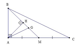 Tính chất ba đường trung tuyến của tam giác (Lý thuyết + Bài tập toán lớp 7) – Cánh diều (ảnh 1)