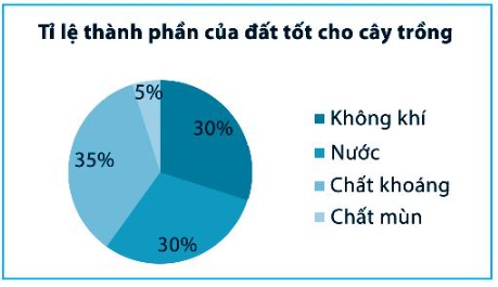 Sách bài tập Toán 7 Bài tập cuối chương 5 - Chân trời sáng tạo (ảnh 1)