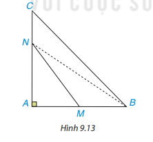 Bài 9.9 trang 65 Toán lớp 7 Tập 2 | Kết nối tri thức (ảnh 1)