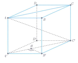 Cho hình hộp chữ nhật ABCD.A'B'C'D' có AB = a, AD = a căn bậc 2 của 3.  Khoảng cách giữa hai đường thẳng DD' và AC' bằng (ảnh 1)