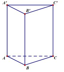 Thể tích khối lăng trụ tam giác đều có cạnh đáy bằng a và cạnh bên bằng 2a bằng (ảnh 1)