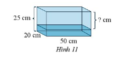 Sách bài tập Toán 7 Bài 4: Diện tích xung quanh và thể tích của hình lăng trụ đứng tam giác, lăng trụ đứng tứ giác - Chân trời sáng tạo (ảnh 1)