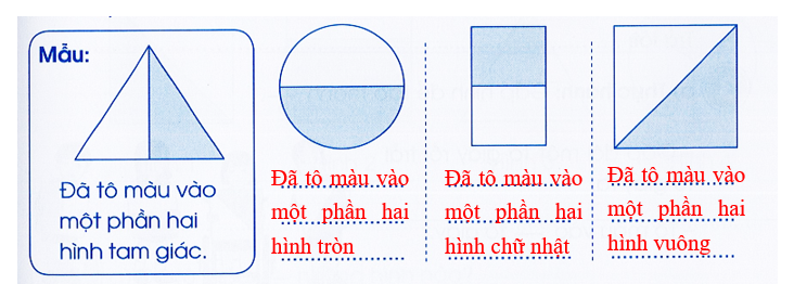 Vở bài tập Toán lớp 3 Tập 1 trang 55, 56 Một phần hai, một phần tư - Cánh diều (ảnh 1)