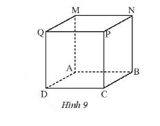 Sách bài tập Toán 7 Bài 1: Hình hộp chữ nhật – hình lập phương - Chân trời sáng tạo (ảnh 1)