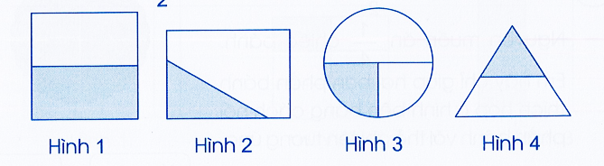 Vở bài tập Toán lớp 3 Tập 1 trang 55, 56 Một phần hai, một phần tư - Cánh diều (ảnh 1)