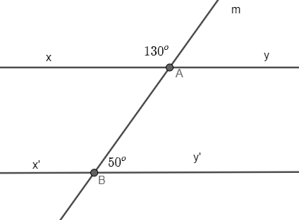 Sách bài tập Toán 7 Ôn tập chương 3 - Kết nối tri thức (ảnh 1)