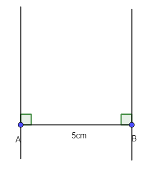 Sách bài tập Toán lớp 6 Bài 1. Hình vuông - Tam giác đều - Lục giác đều | Giải SBT Toán 6 Chân trời sáng tạo