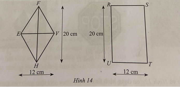 Sách bài tập Toán lớp 6 Bài 2: Hình chữ nhật. Hình thoi | Giải SBT Toán 6 Cánh diều