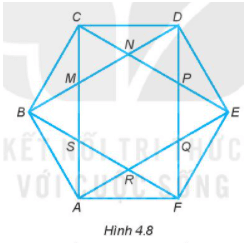 Quan sát Hình 4.8. Hãy kiểm tra xem có mấy hình lục giác đều