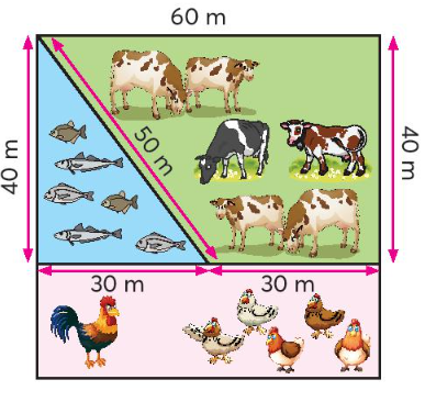 Toán lớp 3 trang 47, 48 Em làm được những gì | Chân trời sáng tạo (ảnh 6)