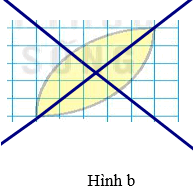 Quan sát những hình dưới đây và cho biết: a) Hình nào không