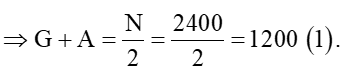 Bài 6 trang 22 Chuyên đề Toán 10 (ảnh 1)