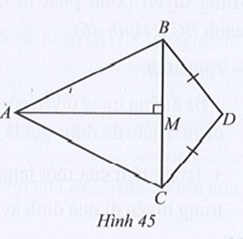 Quan sát Hình 45, biết AM là đường trung trực của đoạn thẳng BC và DB = DC