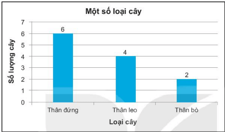 Hoàng quan sát được một số loại cây trong vườn nhà bà ngoại như sau