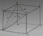 Bài tập trắc nghiệm Hình học 11 | Câu hỏi trắc nghiệm Hình học 11