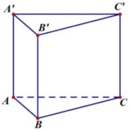 Số đỉnh của một khối lăng trụ tam giác là  (ảnh 1)