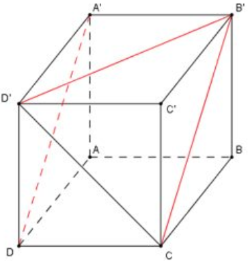 Cho hình lập phương ABCD.A'B'C'D' cạnh bằng a. Góc giữa B'D' và A'D bằng  (ảnh 1)