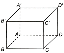 Cho hình hộp ABCD.A'B'C'D'. Mệnh đề nào sau đây sai? (ảnh 1)