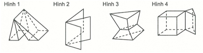 Trong các hình dưới đây, hình nào là hình đa diện?   (ảnh 1)