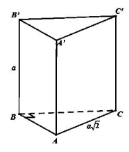 Cho khối lăng trụ đứng  ABC.A'B'C' có BB'=a , đáy ABC là tam giác vuông cân  (ảnh 1)