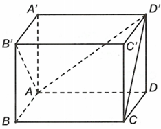 Cho hình lập phương ABCD.A'B'C'D' có cạnh bằng a. Khẳng định nào sau đây sai? A. |vectơ AC'| (ảnh 1)