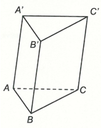 Cho hình lăng trụ ABCD.A'B'C'D'  Ảnh của đoạn thẳng AB  qua phép tịnh tiến theo vectơ CC'  là: (ảnh 1)