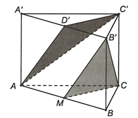 Cho lăng trụ ABC.A'B'C' có mặt bên là các hình chữ nhật. Gọi D' là trung điểm của A'B' khi đó CB' song song với (ảnh 1)