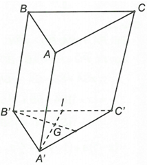 Cho lăng trụ ABC.A'B'C'. Đặt vectơ a = vectơ AA', vectơ b = vectơ AB. vectơ c = vectơ AC. Gọi G' là (ảnh 1)