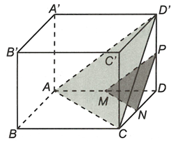 Cho hình lập phương ABCD.A'B'C'D', có M, N, P lần lượt là trung điểm của các cạnh AD, DC, DD'. Chứng minh rằng (MNP) song song với (ACD') (ảnh 1)