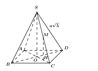 Cho hình chóp S.ABCD có đáy ABCD là hình chữ nhật với (ảnh 1)