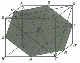 Cho hình lập phương ABCD.A'B'C'D', gọi M, N, P lần lượt là trung điểm của các cạnh AB, B'C', DD' Khẳng định nào sau đây sai? (ảnh 1)