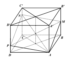 Cho hình lập phương ABCD.A'B'C'D' cạnh 2a, gọi M là trung điểm của BB' (ảnh 1)