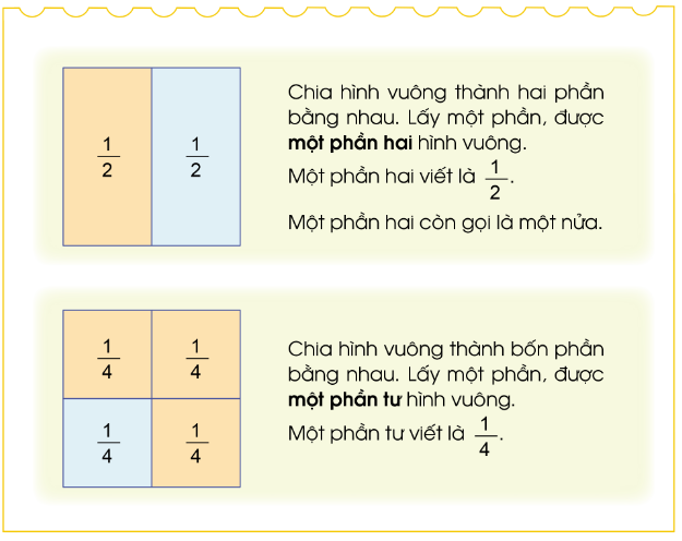 Lý thuyết Một phần hai, một phần tư (Cánh diều 2022) hay, chi tiết | Toán lớp 3 (ảnh 1)