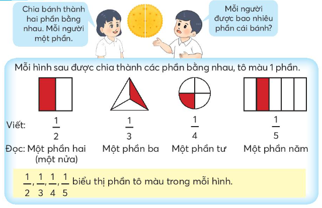 Lý thuyết Một phần hai, một phần ba, một phần tư, một phần năm (Chân trời sáng tạo 2022) hay, chi tiết | Toán lớp 3 (ảnh 1)