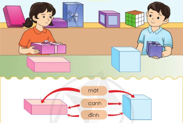 Lý thuyết Khối hộp chữ nhật, khối lập phương (Cánh diều 2022) hay, chi tiết | Toán lớp 3 (ảnh 1)