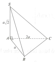 Cho khối chóp S.ABC có SA vuông góc với đáy (ABC), SA= a căn 2 . Đáy ABC vuông tại A, AB=a, AC=2a  (tham khảo hình vẽ bên). Tính thể tích khối chóp S.ABC. (ảnh 1)