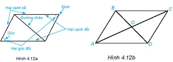 Quan sát hình bình hành ở Hình 4.12a. Đo và so sánh độ dài các cạnh đối