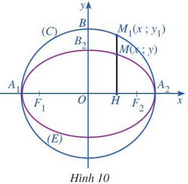 Hoạt động 8 trang 46 Chuyên đề Toán 10 (ảnh 1)