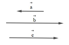 Sách bài tập Toán 10 Bài 7: Các khái niệm mở đầu - Kết nối tri thức (ảnh 1)