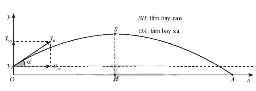 Sách bài tập Toán 10 Bài tập cuối chương 3 - Chân trời sáng tạo (ảnh 1)