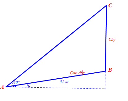 Sách bài tập Toán 10 Bài 6: Hệ thức lượng trong tam giác - Kết nối tri thức (ảnh 1)