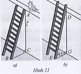 Sách bài tập Toán 10 Bài 5: Hai dạng phương trình quy về phương trình bậc hai - Cánh diều (ảnh 1)