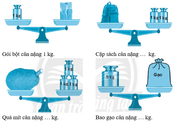 Giải vở bài tập Toán lớp 2 Tập 2 trang 91, 92, 93, 94 Ki- lô- gam - Chân trời sáng tạo