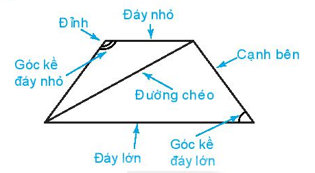 Hình chữ nhật, hình thoi, hình bình hành, hình thang cân | Lý thuyết Toán lớp 6 chi tiết Kết nối tri thức