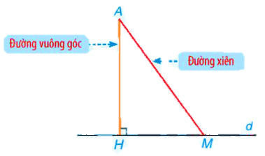 Lý thuyết Toán 7 Kết nối tri thức Bài 32: Quan hệ giữa đường vuông góc và đường xiên (ảnh 1)