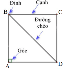 Lý thuyết tổng hợp Chương 3: Hình học trực quan và hình phẳng trong thực tiễn lớp 6 | Chân trời sáng tạo (ảnh 1)