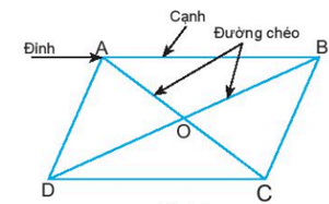 Lý thuyết tổng hợp Chương 3: Hình học trực quan và hình phẳng trong thực tiễn lớp 6 | Chân trời sáng tạo (ảnh 1)