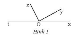 Sách bài tập Toán 7 Bài tập cuối chương 4 - Chân trời sáng tạo (ảnh 1)